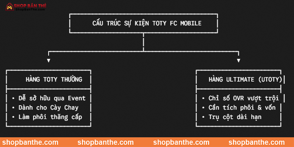 cấu trúc tổng thể của sự kiện TOTY